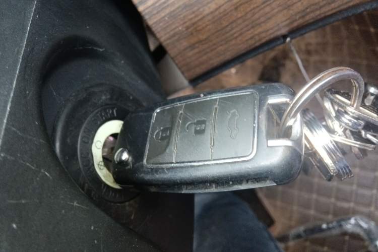 Used FORTHING Lingzhi PLUS 2022 Travel Edition 2.0L Manual Luxury Version 7 Seats