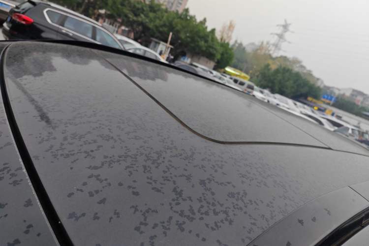 Used  Lingyun 2021 290T Two-Wheel Drive Starry Edition
