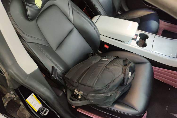 Used Tesla Model 3 2020 Revised Version Standard Range Rear-Wheel Drive – Upgraded Edition
