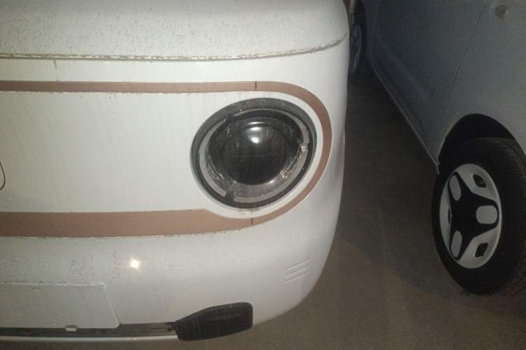 Used  Panda 2025 210 km – Yuanqi Bear
