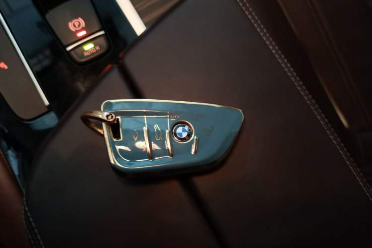 Used BMW 5 Series 2020 530Li Leading Edition Luxury Package
