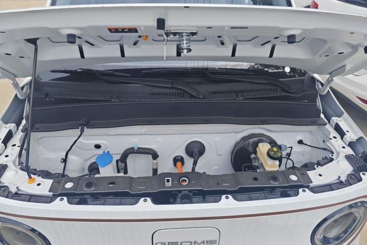 Used  Panda 2024 Panda Mini 200km Endurance Bear
