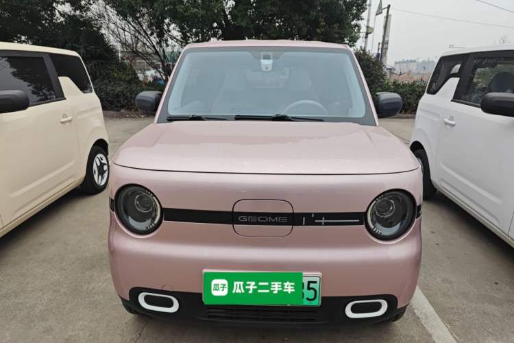 Used  Panda 2025 210 km – Yuanqi Bear