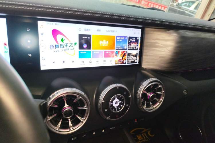 Used Tank 300 2024 2.0T Crosser