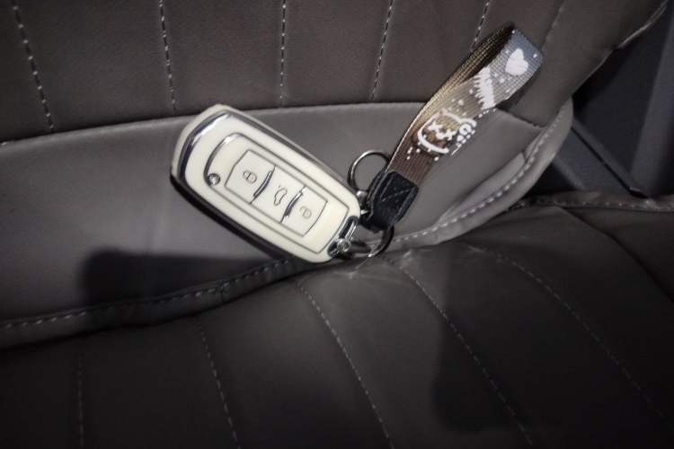 Used  Panda 2024 Panda Mini 200km Endurance Bear
