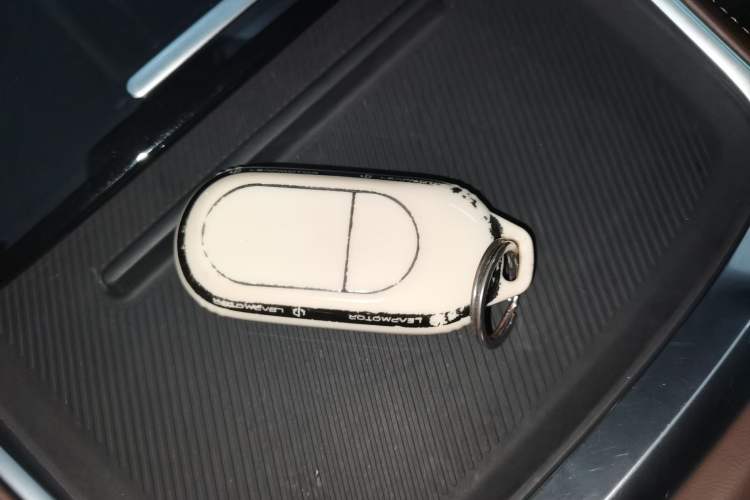 Used Leapmotor C11 2023 Pure Electric 500 Comfort Edition
