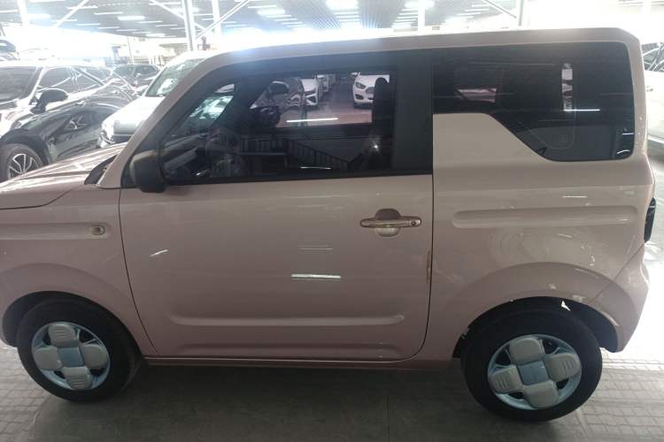 Used  Panda 2023 Panda Mini 200km Endurance Bear
