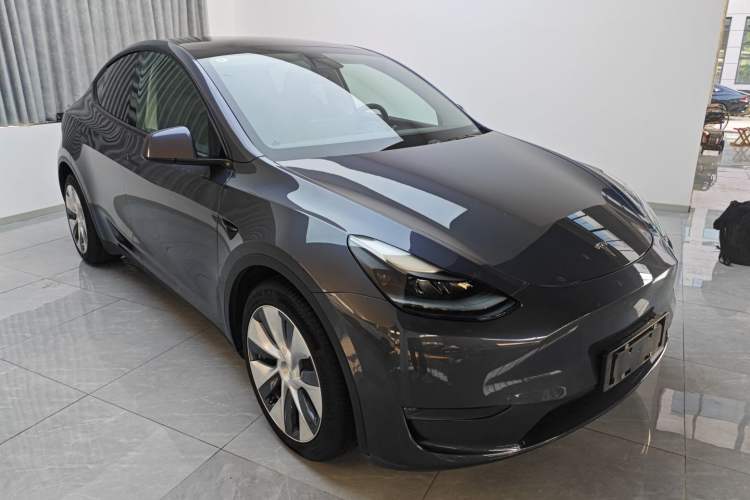 Used Tesla Model Y 2021 Long-Range All-Wheel-Drive Version
