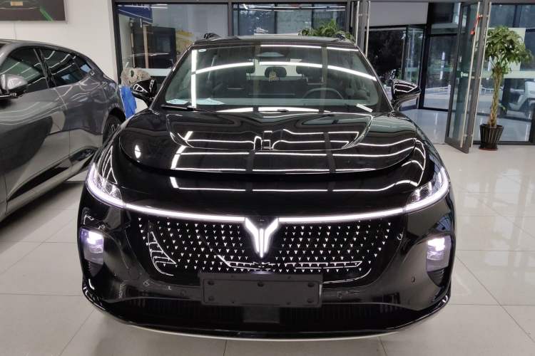 Used VOYAH COURAGE 2024 Four-Wheel Drive Global Edition
