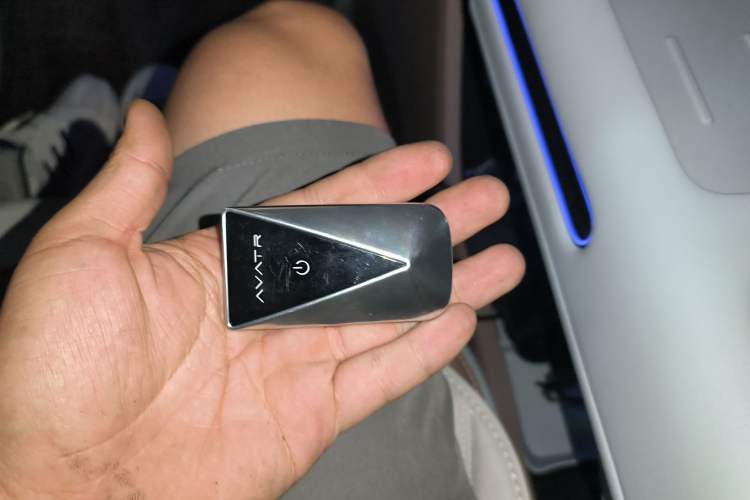 Used  07 2024 Max Pure Electric Edition
