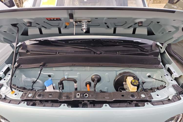 Used  Panda 2025 210 km – Yuanqi Bear
