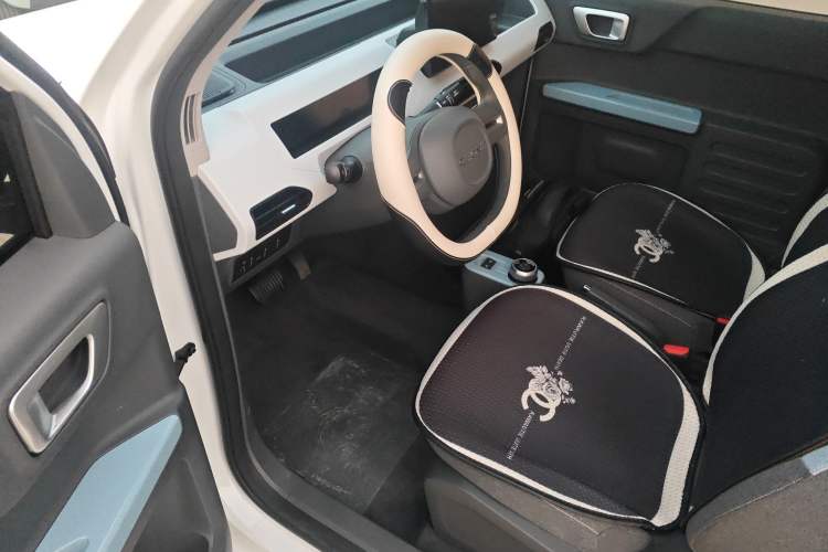 Used  Panda 2024 Panda Mini 200km Endurance Bear
