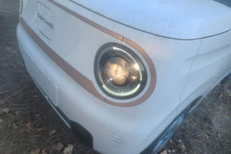 Used  Panda 2024 Panda Mini 200km Endurance Bear