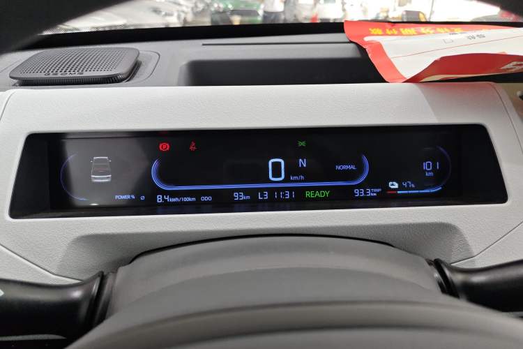 Used  Panda 2024 Panda Mini 200km Endurance Bear
