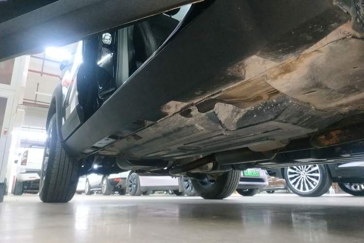 Used Haval DARGO 2024 2.0T DCT Chinese Rural Dog Edition