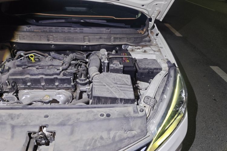 Used Changan Eado DT 2019 1.6L Manual Comfort Model China VI Standard