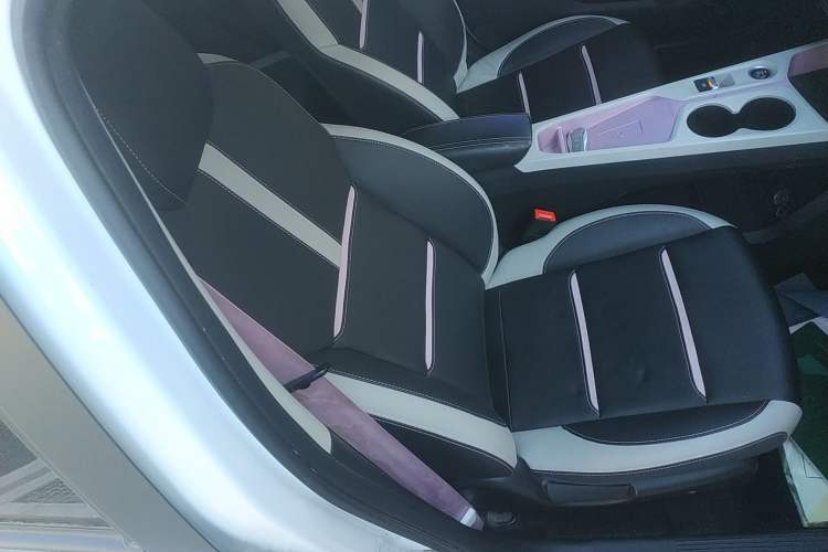 Used SOL E10X 2022 Flower Fairy Design Four-Leaf Clover