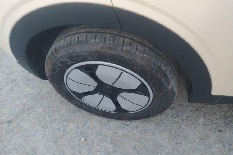 Used  Geome 2025 310km Youth Edition