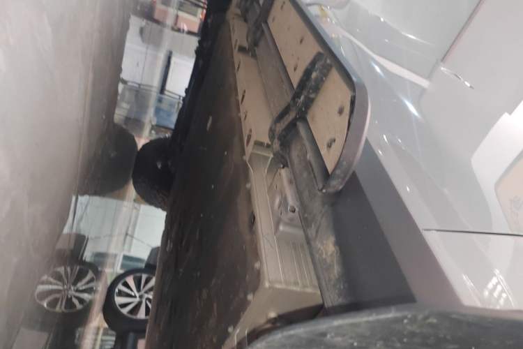 Used  V23 2025 501 Four-Wheel Drive Advanced Version
