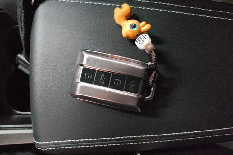 Used Tank 300 2023 City Edition 2.0T—Stylish as Ever