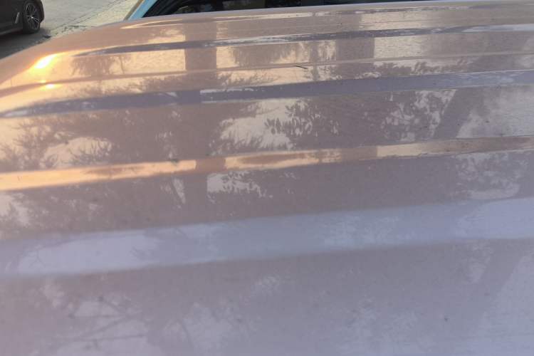 Used  Panda 2023 Panda Mini 200km Endurance Bear
