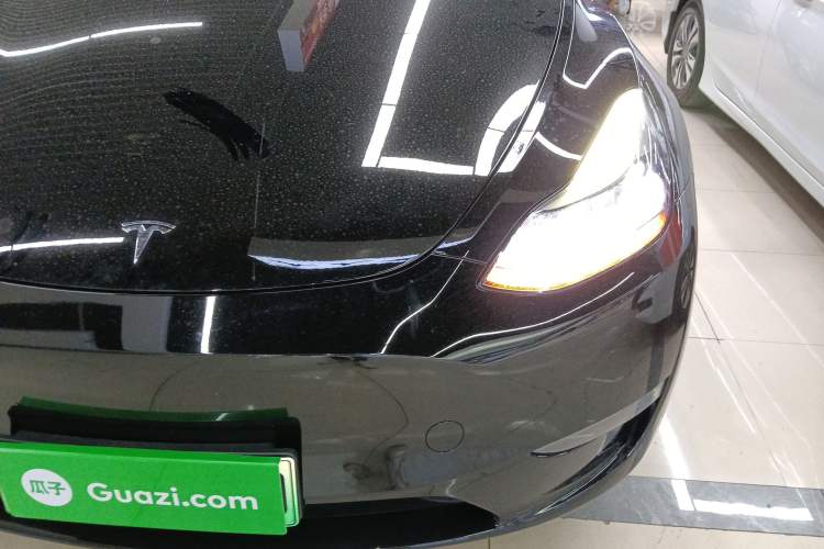 Used Tesla Model Y 2021 Standard Range Rear-Wheel Drive Version