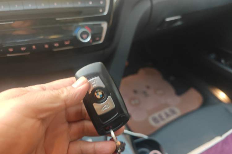 Used BMW 3 Series 2016 316Li Fashion Model
