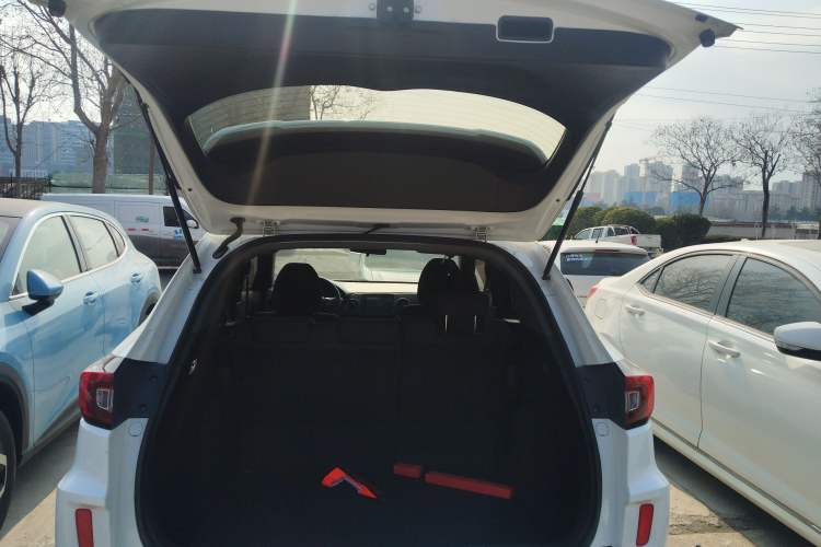 Used Honda XR-V 2020 1.5L CVT Classic Edition