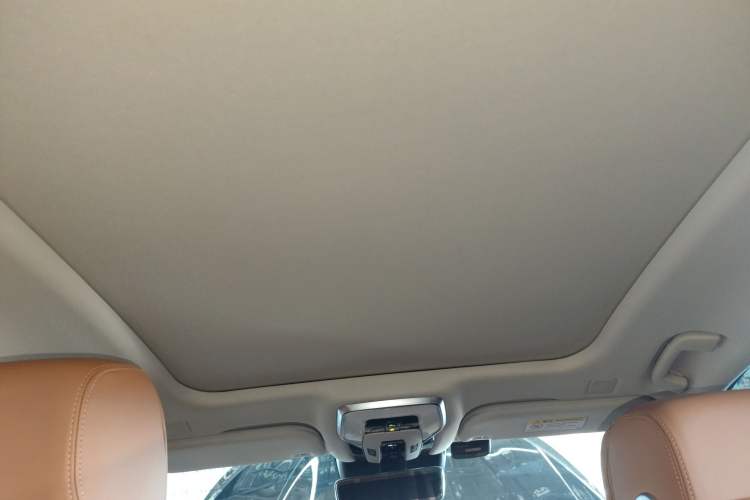 Used Hongqi H9 2020 2.0T Smart Connect Flagship Edition