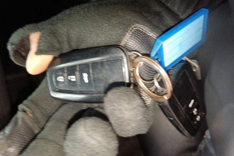 Used Toyota Levin 2019 185T CVT Sport Edition China VI Standard
