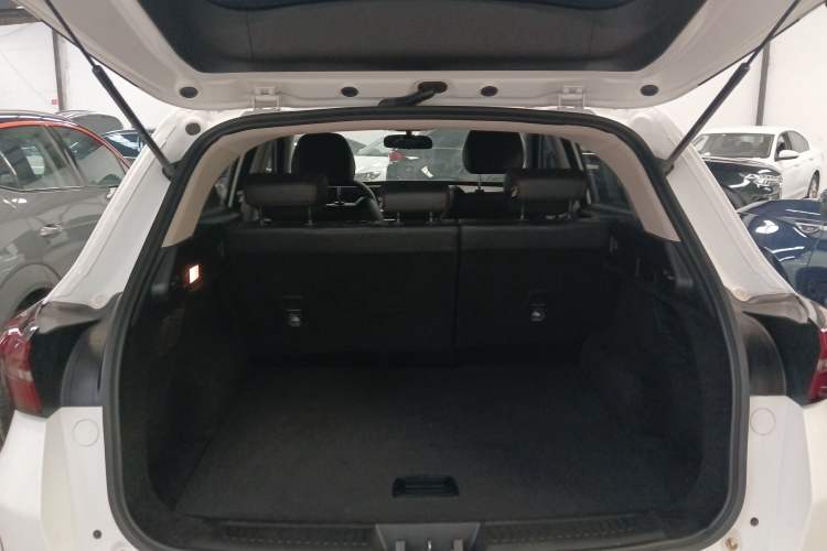 Used  Zhuifeng 2020 Chasing the Waves Edition 1.5T CVT Starry Edition
