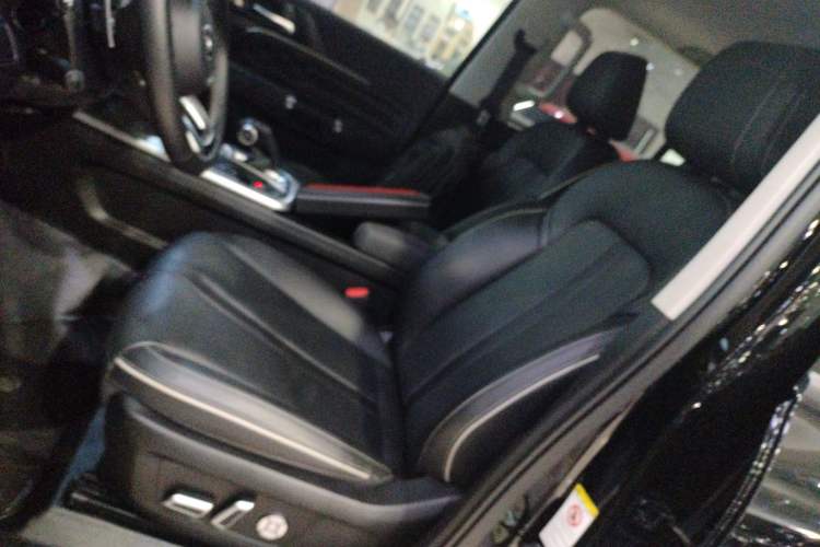 Used Tank 300 2024 2.0T Conqueror
