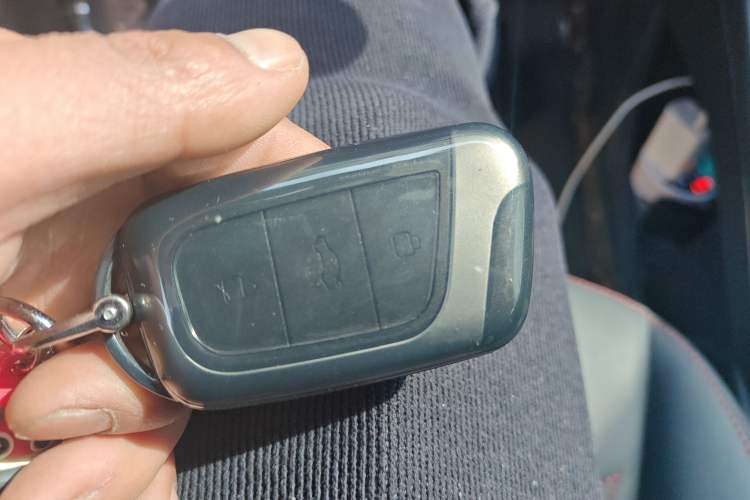 Used Chery Little Ant 2024 Edition Youth Version 251km True Love Edition 25.05 kWh