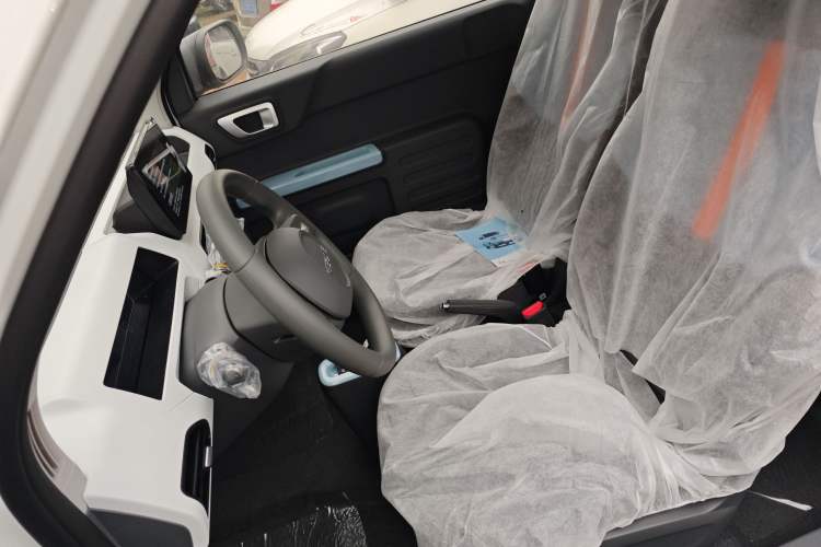 Used  Panda 2024 Panda Mini 200km Endurance Bear