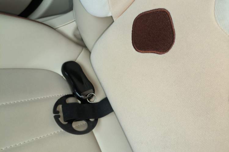 Used ORA Good Cat 2022 Morandi Edition 400km Standard Range Luxury Version Lithium Iron Phosphate
