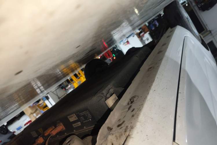 Used  Panda 2023 Panda Mini 200km Endurance Bear
