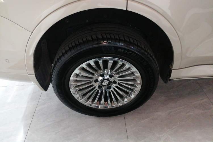 Used Tank 500 2022 3.0T Business Edition "Creation Realm" Design 5-Seater
