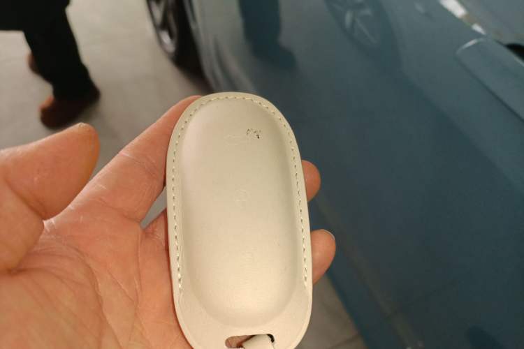 Used Li Auto L7 2023 Max model
