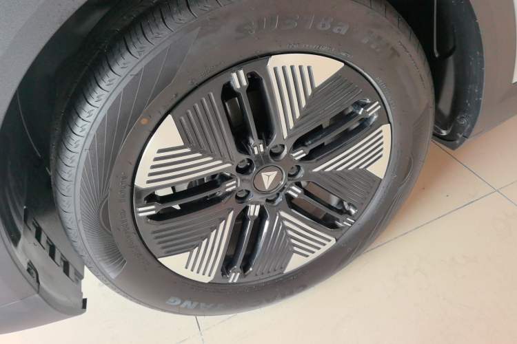 Used  S05 2024 200Max Range-Extended Long-Range Version
