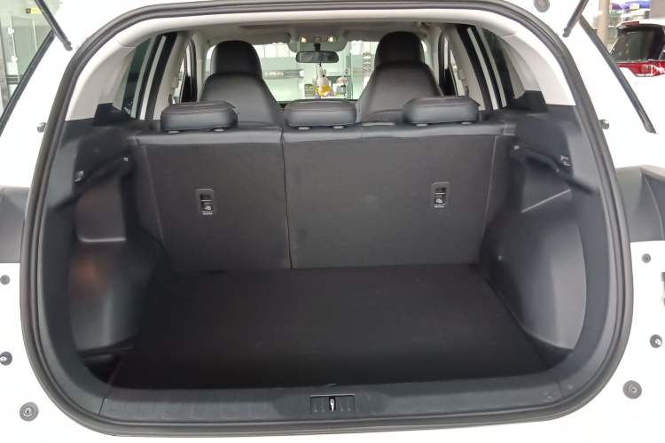 Used GAC Trumpchi GS4 2021 270T Automatic Luxury Smart Connectivity Version
