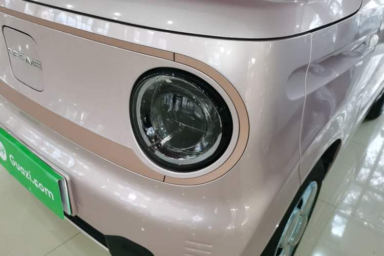 Used  Panda 2024 Panda Mini 200km Endurance Bear
