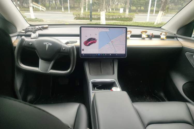 Used Tesla Model Y 2021 Standard Range Rear-Wheel Drive Version
