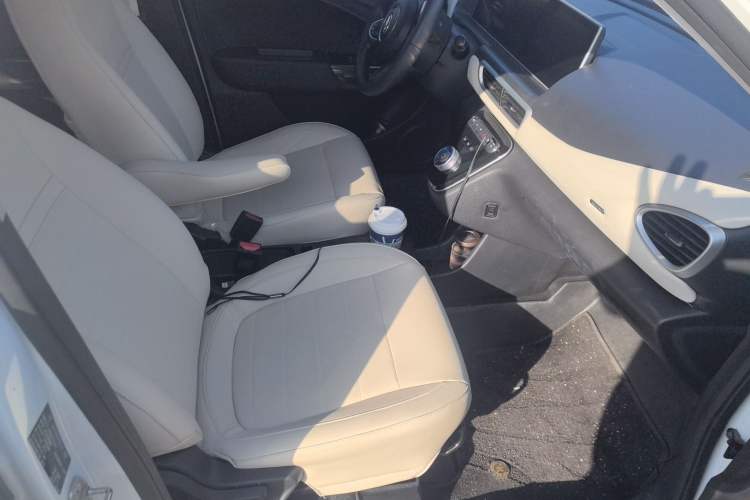 Used ORA White Cat 2022 Upgraded Model 305km Range Luxury Version Lithium-Ion Battery
