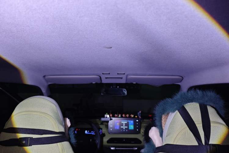 Used  Panda 2024 Panda Mini 200km Endurance Bear