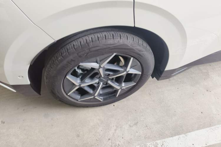 Used Lynk & Co Z20 2025 530 km Range Rear-Wheel Drive Max
