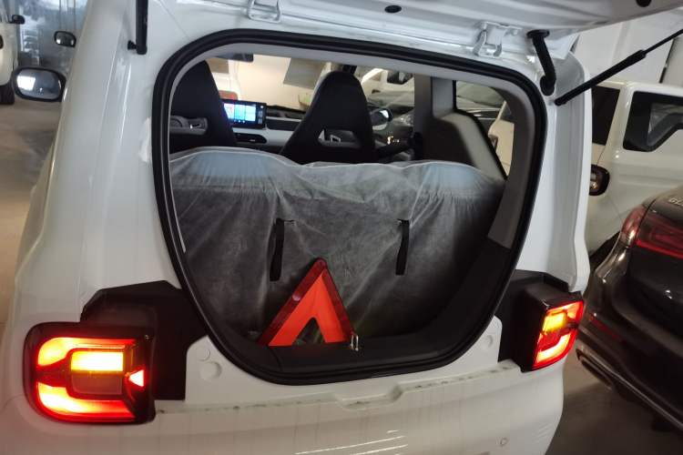 Used  Panda 2024 Panda Mini 200km Endurance Bear
