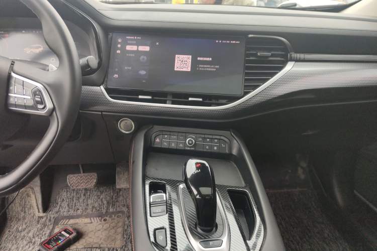 Used Haval F7 2021 2.0T Two-Wheel Drive i-Van
