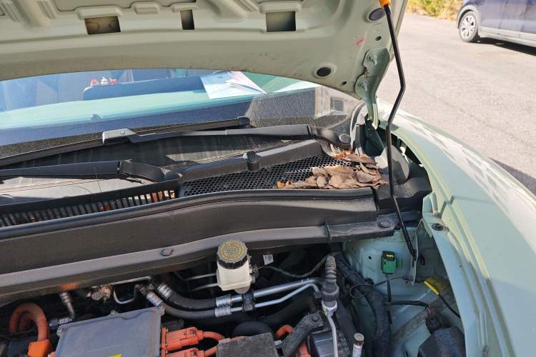 Used ORA Good Cat 2023 401 km Standard Range Premium Version Lithium Iron Phosphate