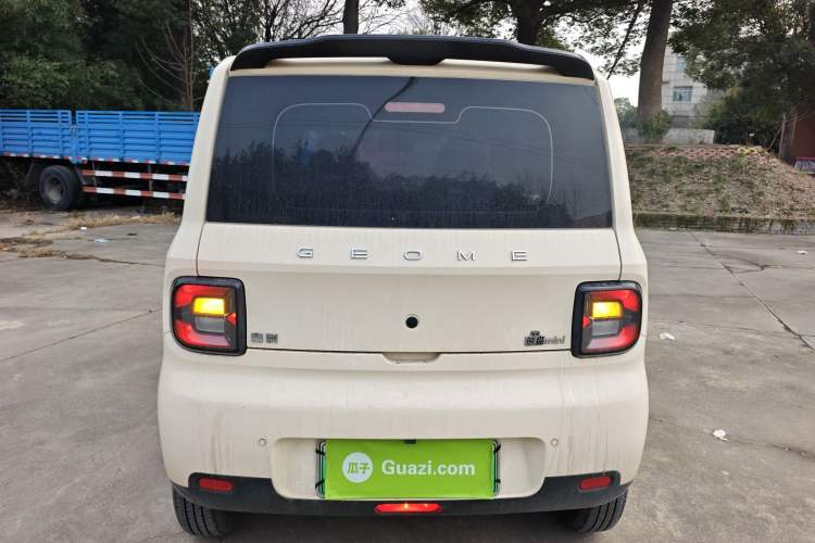 Used  Panda 2025 210 km – Yuanqi Bear