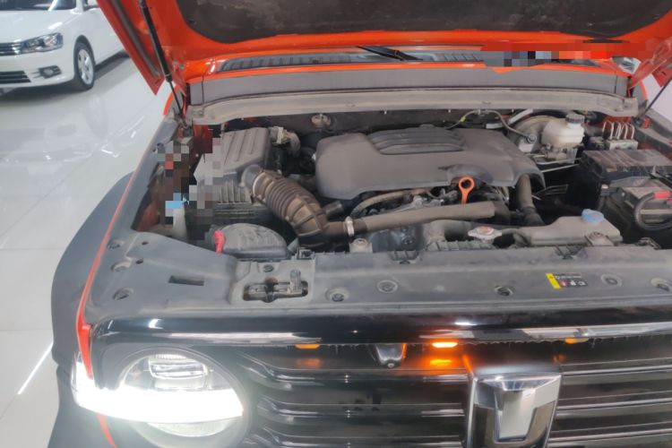 Used Tank 300 2021 Off-Road Edition 2.0T Conqueror